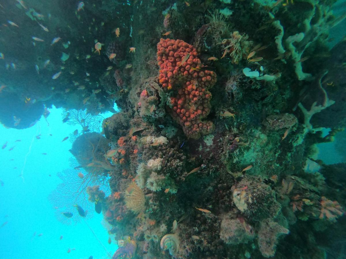 Meos Ambower Homestay Raja Ampat Fam Exterior photo